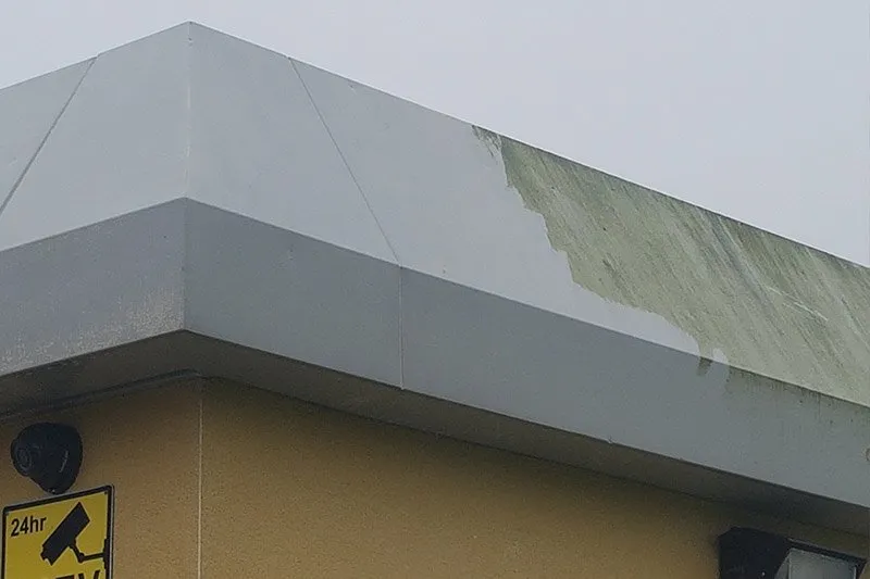 Professional cleaners providing high standards of workmanship